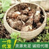 广西荔浦芋头5斤装 现挖新鲜自种精选毛芋头粉糯中芋产地直发