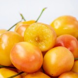 大连佳红黄樱桃国产蕾金车厘子新鲜水果一件代发