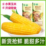 广西水果玉米棒鲜嫩甜玉米230gX8袋基地厂家直批即食真空粗粮代餐