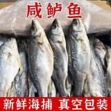 鲈鱼新鲜腌制鲈鱼工厂直发一件代发饭店可用