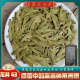 明前龙井43扁型茶叶遂昌豆香板栗香黄版新茶浙南茶叶高山茶乌牛早